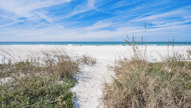 A sandy beach path leading to the ocean, with clear skies and distant people. - 403 Sandcastle North Beach front (Indian Rocks Beach)