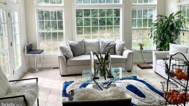 Un salon spacieux avec une grande fenêtre en arc, un canapé blanc, une table basse en verre et une grande plante.