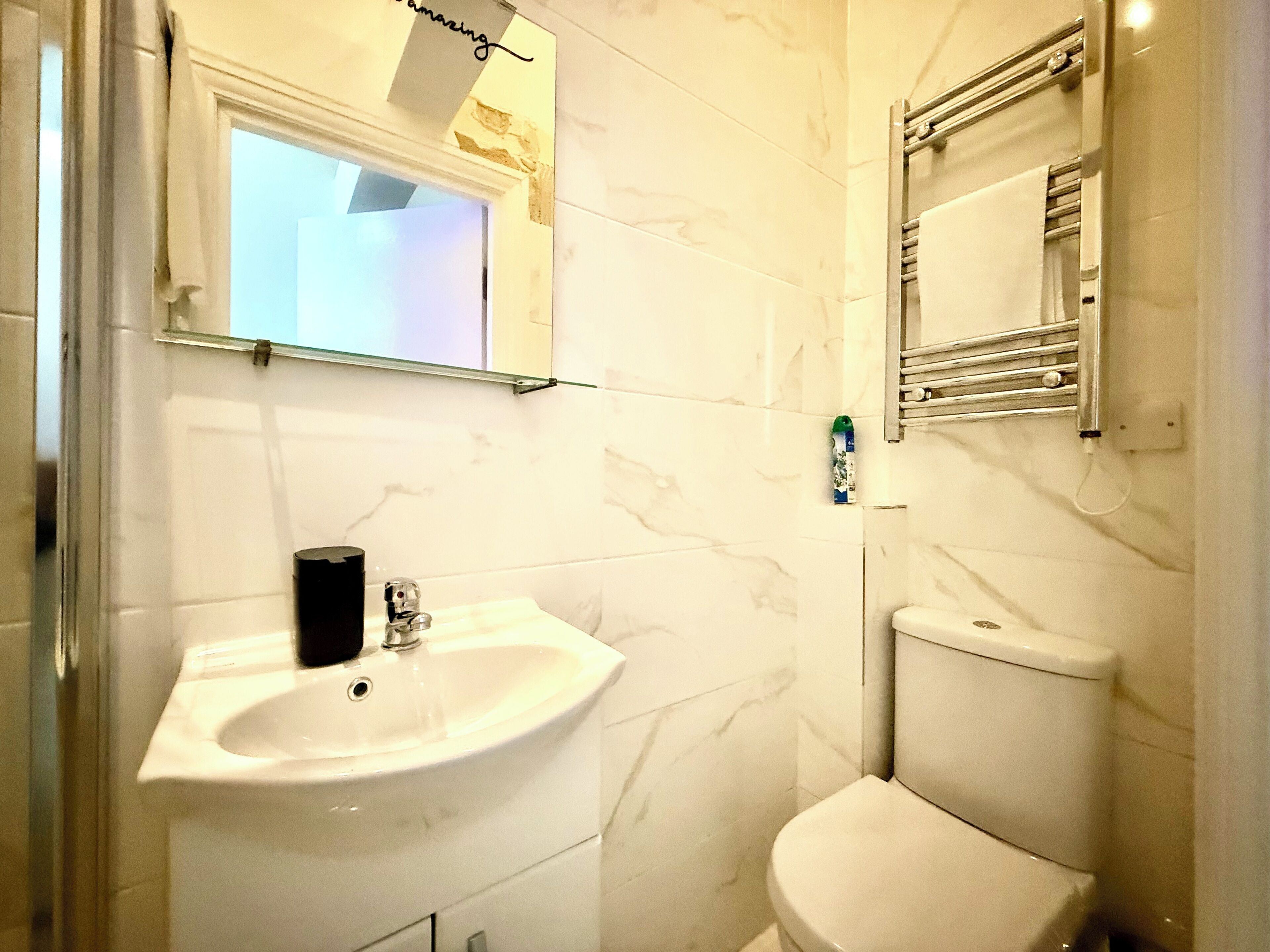 Hair dryer, towels, soap, toilet paper