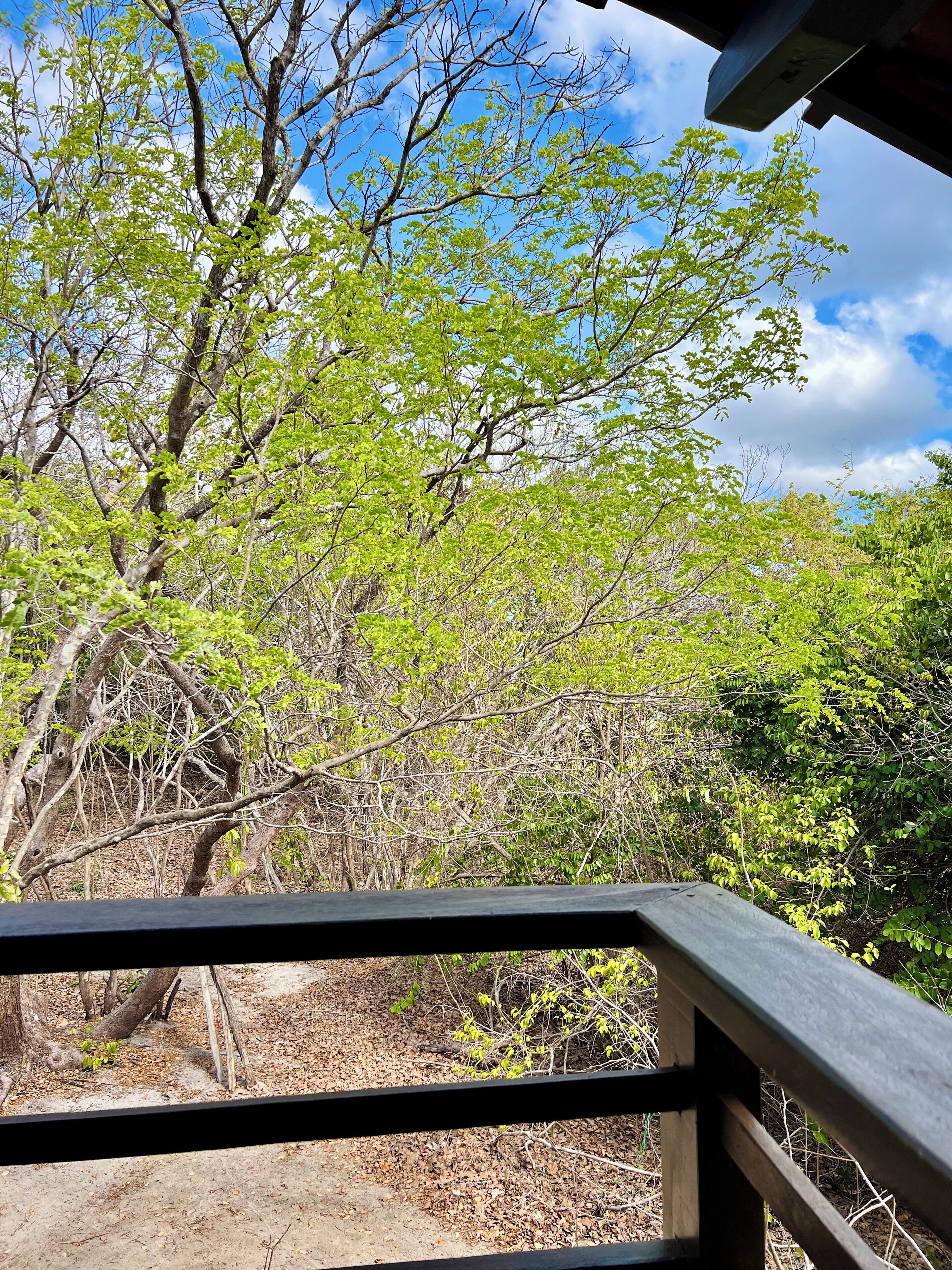 Quarto superior, varanda coberta, vista para a lagoa | Área da propriedade
