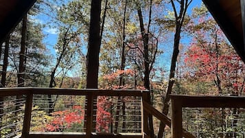 Una terrassa de fusta amb vista a una zona boscosa, incloent arbres amb fullatge d'autumn.