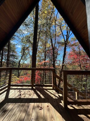 Property grounds - 1-bedroom cabin in Sparta perfect for a relaxing getaway (Sparta)