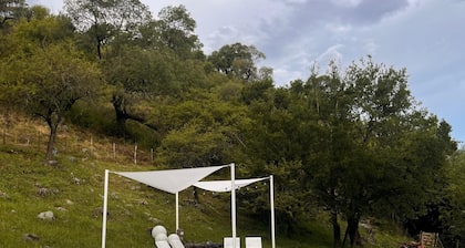 Alpine chalet in the sierras