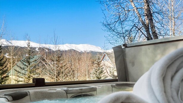 Un jacuzzi con vistas a montañas nevadas y árboles sin hojas.