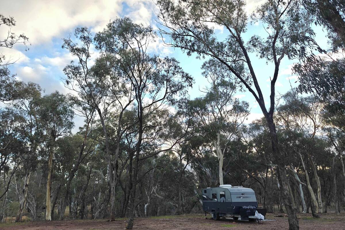 Tält (Unpowered Campsites - Escape) | Utsikt från boendet