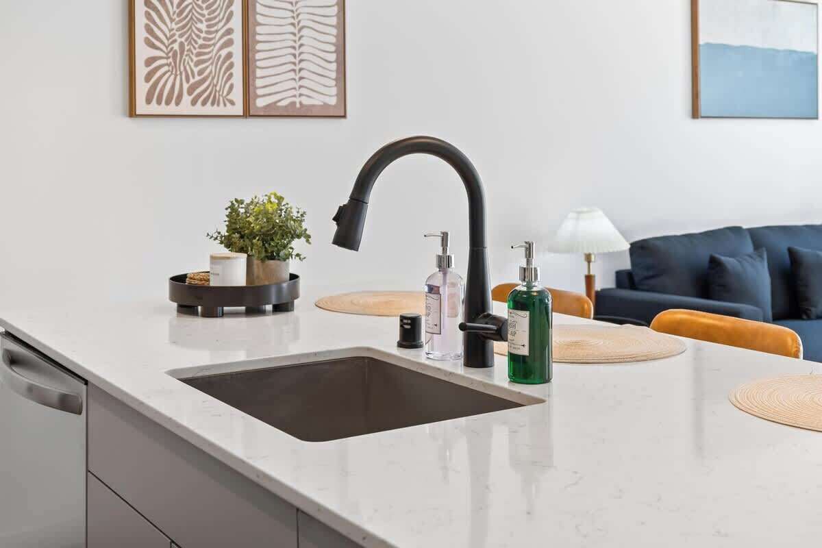 Une cuisine moderne avec un robinet noir, un évier et un plan de travail. Deux œuvres d’art encadrées sont accrochées au mur, ainsi qu’une plante en pot et une bouteille de liquide vaisselle.