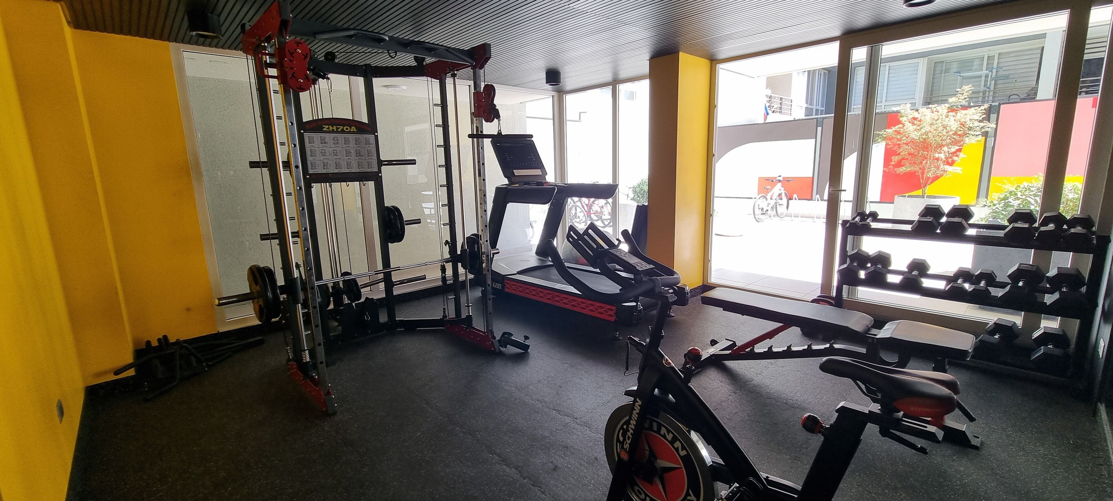 A gym with a treadmill, weight machines, and dumbbells.