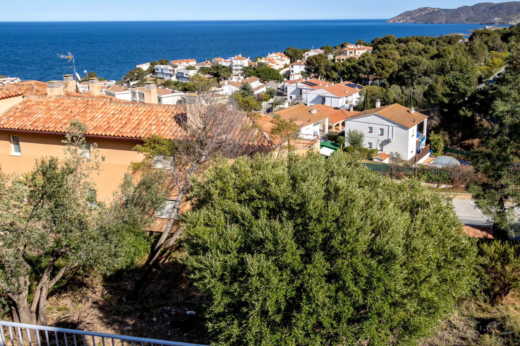 A coastal residential area with houses, a view of the sea, and dense greenery.