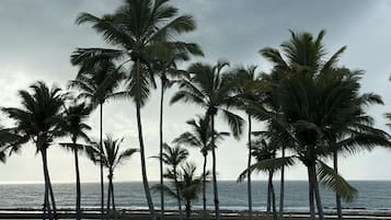 On the beach, white sand, free beach cabanas, sun-loungers