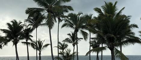 On the beach, white sand, free beach cabanas, sun loungers