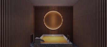 Arima Hot Spring Hotel nebi