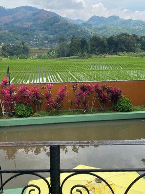 Property grounds - Villa Feridys (Banjaran)