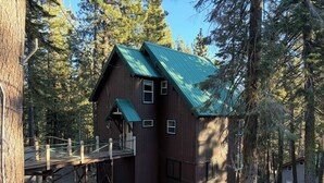 A cabin with a green roof, surrounded by trees, and a satellite dish visible in the foreground.