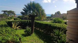 Ein angelegter Garten mit einer Palme, verschiedenen Sträuchern und Blick auf das Meer.