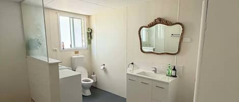 Shower, hair dryer, towels, soap