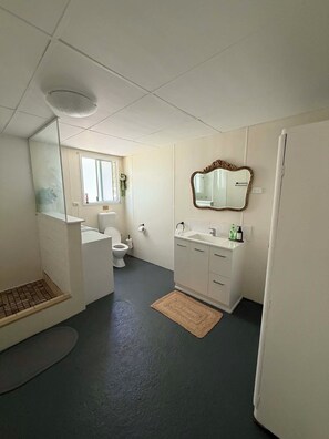 Regadera, secadora de cabello, toallas, jabón 