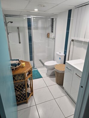 Shower, hair dryer, soap, toilet paper