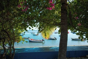 Ein Strand mit mehreren Booten, die in ruhigem Wasser vor Anker liegen, umgeben von üppiger Vegetation und einer Palme.