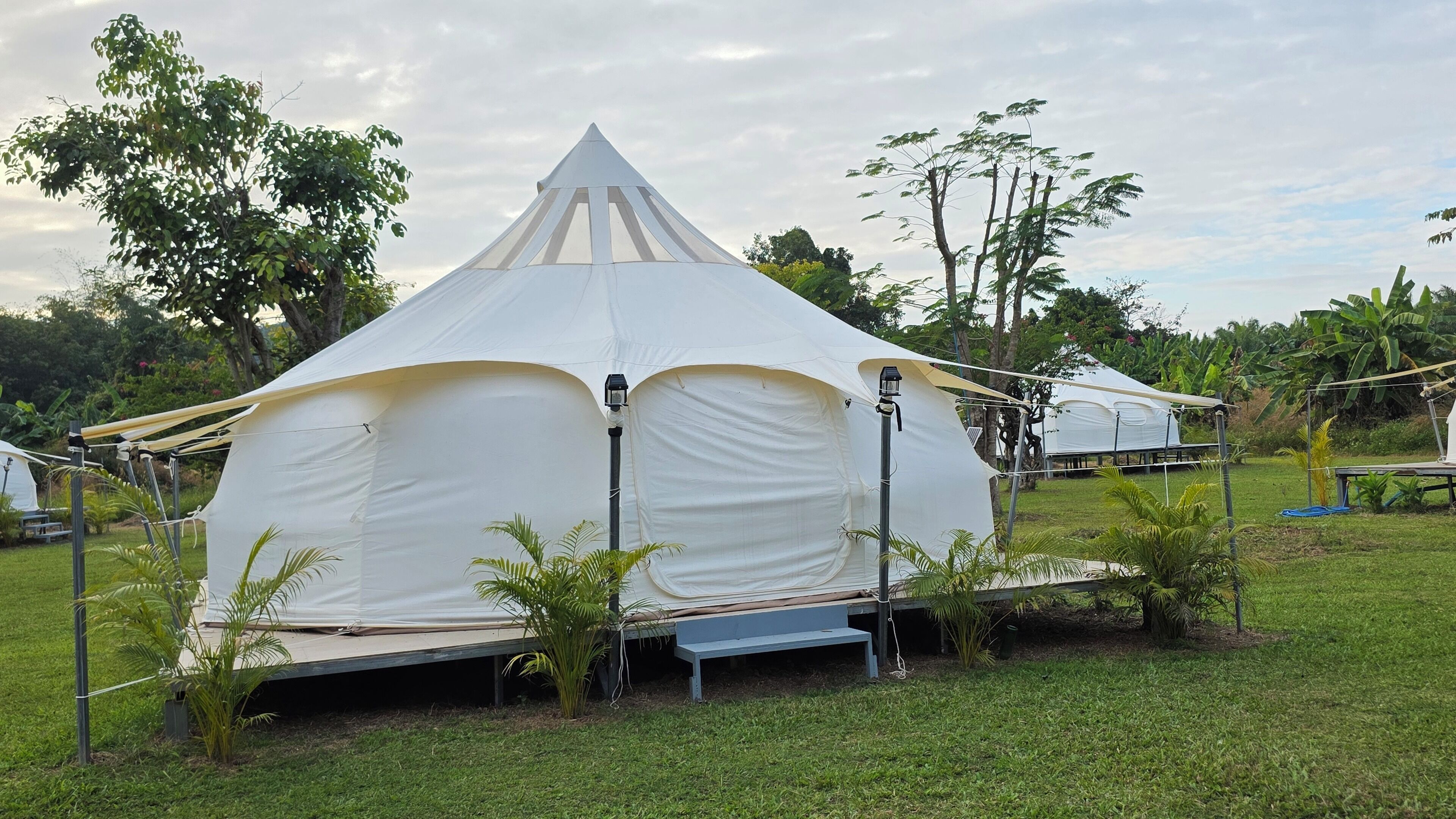 Tent Pumpkin Queen Fan | วิวจากห้องพัก