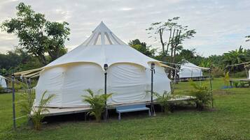 Tent Pumpkin Queen Fan | Ausblick vom Zimmer