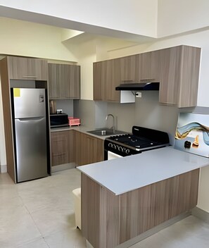 Apartment | Private kitchen - OCEAN AND BEACH VIEW ROOFTOP (Boca Chica)