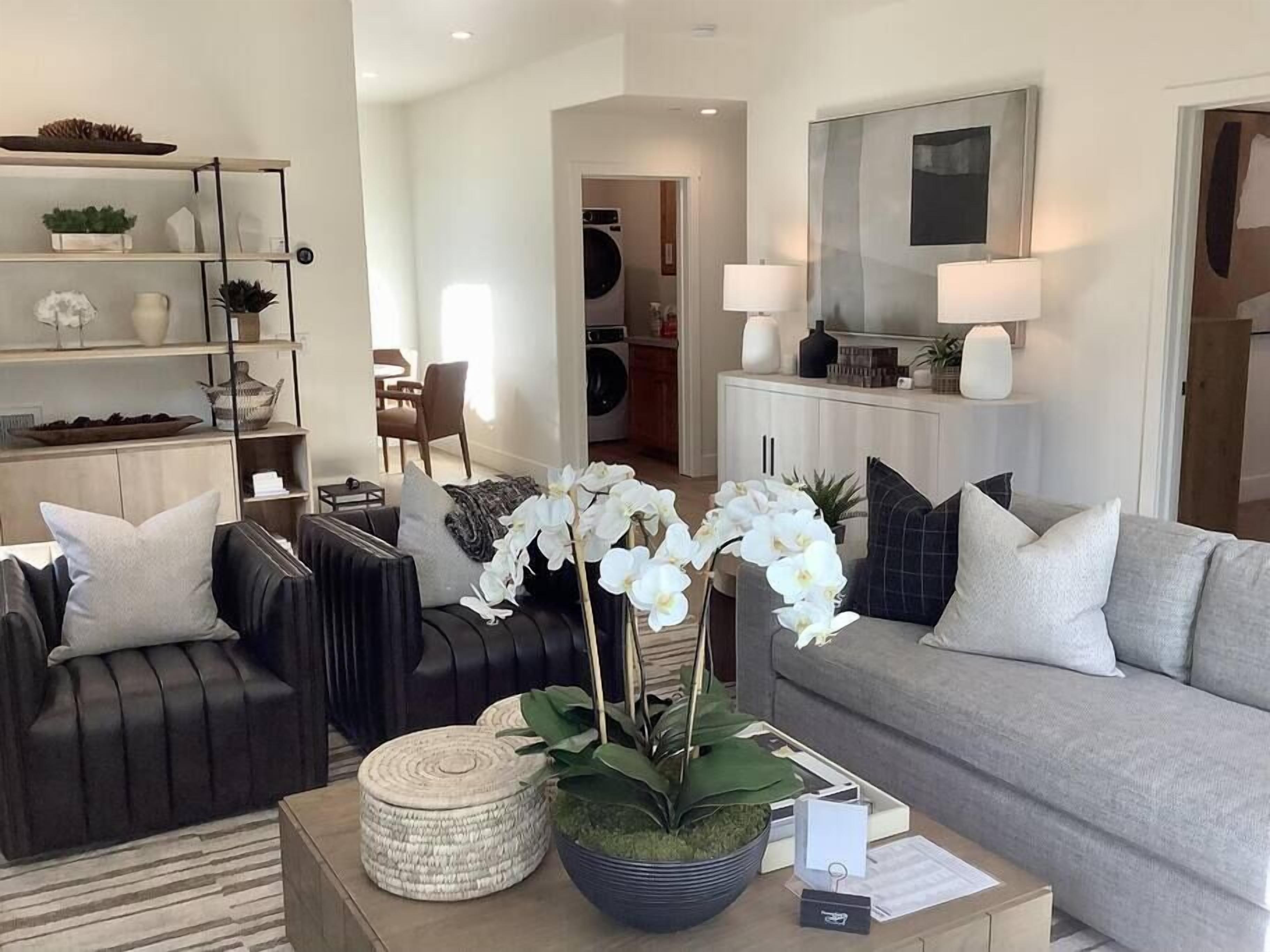 Télévision, cheminée, jeux vidéo, chaîne hi-fi