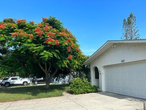 Property grounds - Cozy 2-bdrm house & pool near beaches and prime Tampa Bay tranquil Largo w AC (Largo)