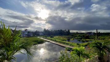 Villa de lujo | Miscelánea