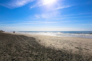 Beach nearby - One Block Walk to Beach!  Beach House w/ Two Kitchens, Renovated Bathrooms, Covered Decks & Sun Deck (Folly Beach)