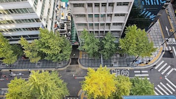 Land view from property