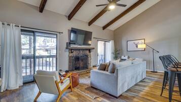 TV, fireplace, books