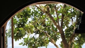 A beach view through a window with a table and chairs in the foreground. - TAAVETTI (Galle)