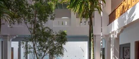 テラス / パティオ