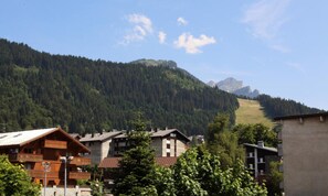 Exterior - Duplex in Les Carroz (Araches-la-Frasse)
