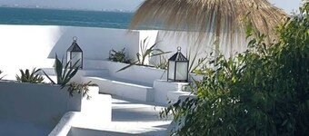 La brise du paradis terrestre de Carthage