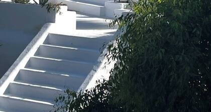 La brise du paradis terrestre de Carthage