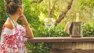 Appartement Classique, vue jardin | Enceinte de lâhĂ©bergement