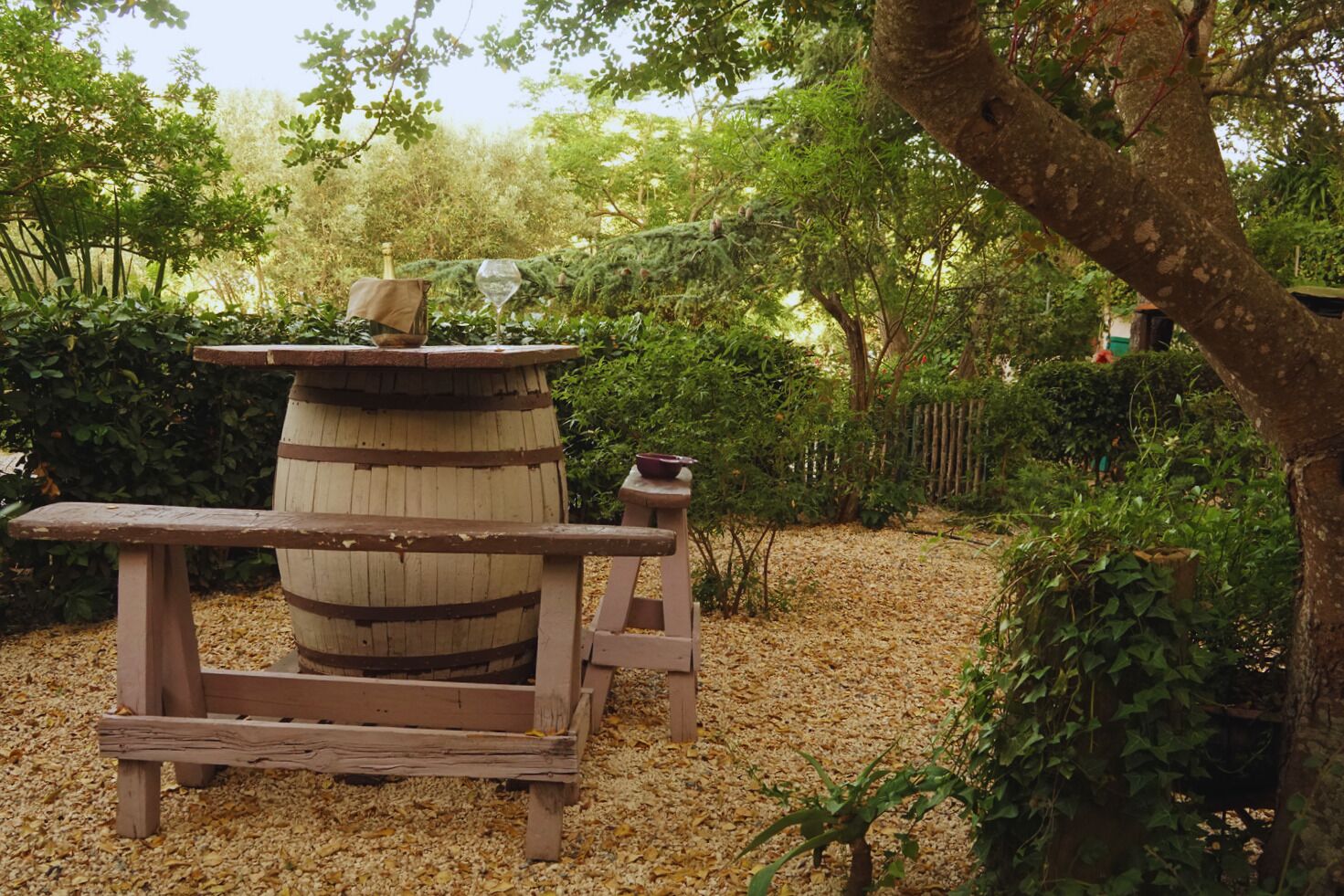 Parco della struttura