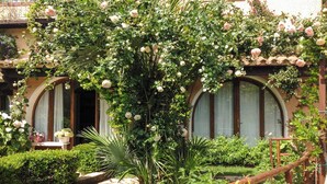 A garden with a variety of plants and flowers, a wooden fence, and a building with arched windows. - VILLA GISA (Domus de Maria)