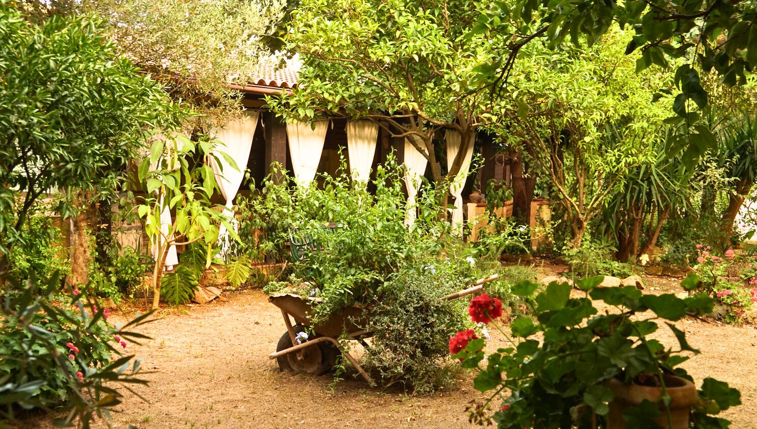 المنطقة المحيطة بالمنشأة