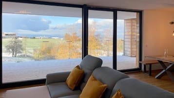 Nhà Duplex, ban công, quang cảnh hồ | Khu phòng khách | Smart TV 55-inch có truyền hình vệ tinh