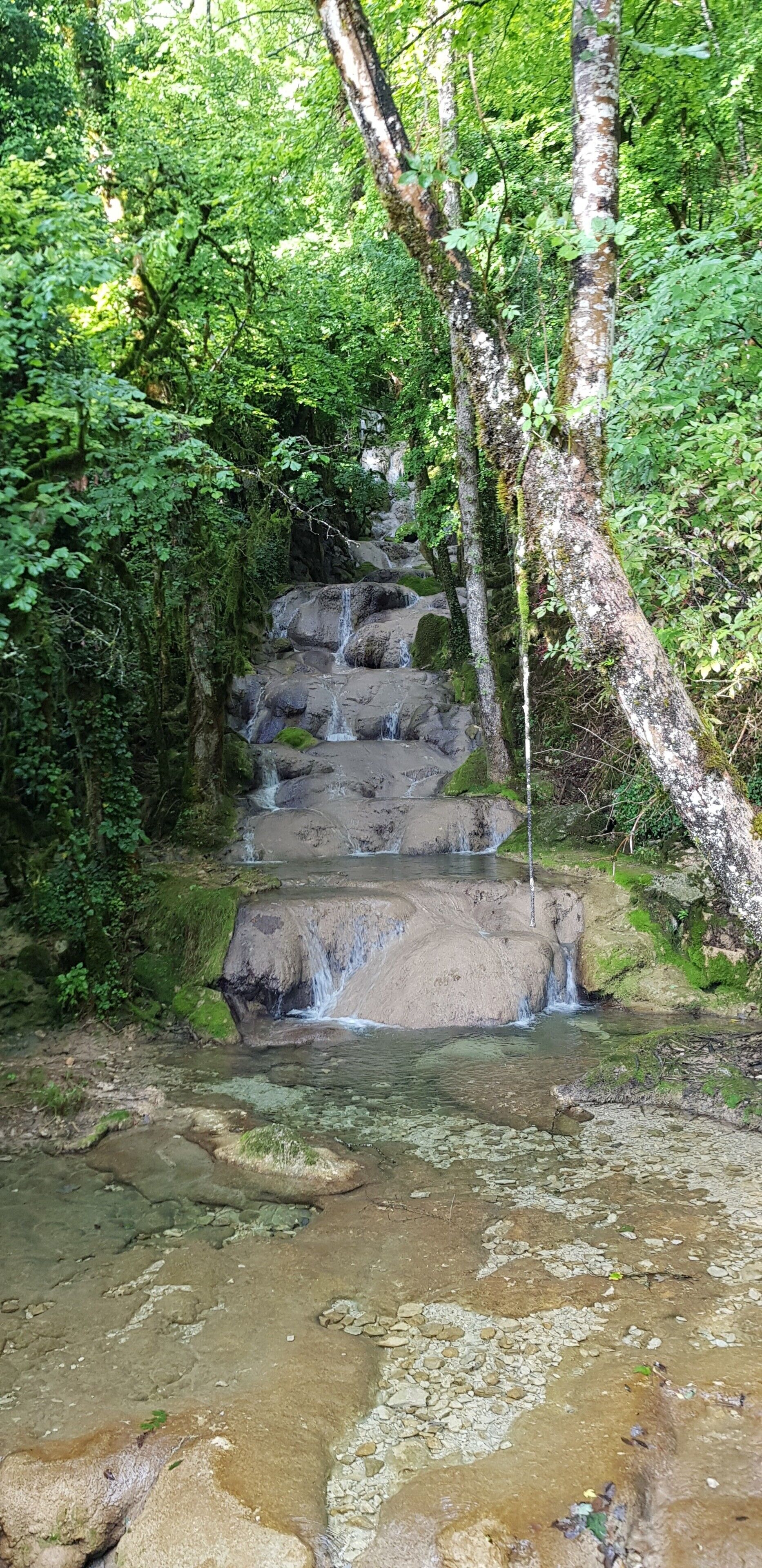 Una escalera de piedra natural desciende hacia un arroyo cristalino rodeado de vegetación exuberante.