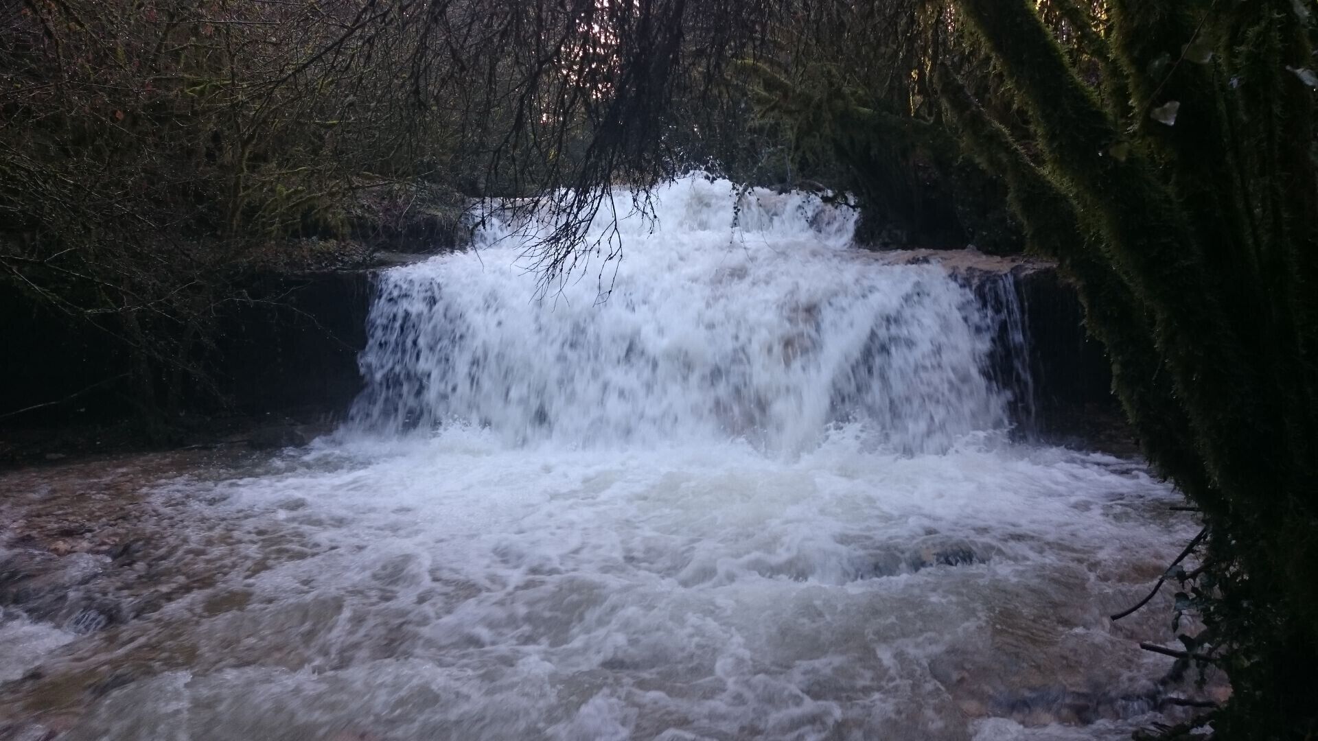 Une cascade située dans une zone boisée.