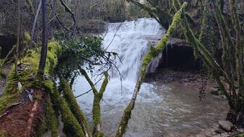 A waterfall surrounded by moss-covered trees and a muddy stream.