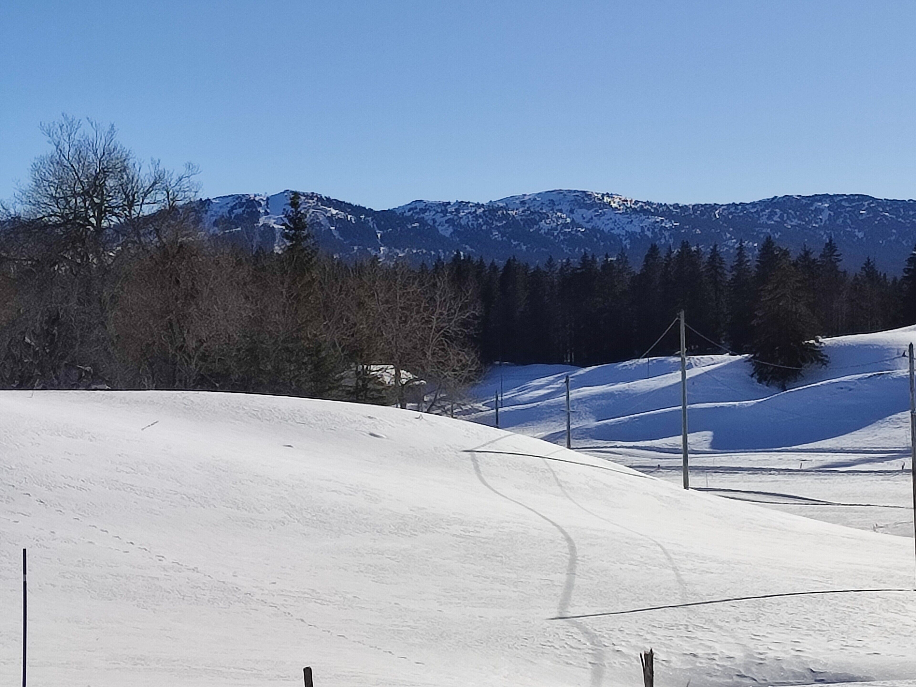 Ett snötäckt landskap med en skidbacke, träd och berg i bakgrunden.