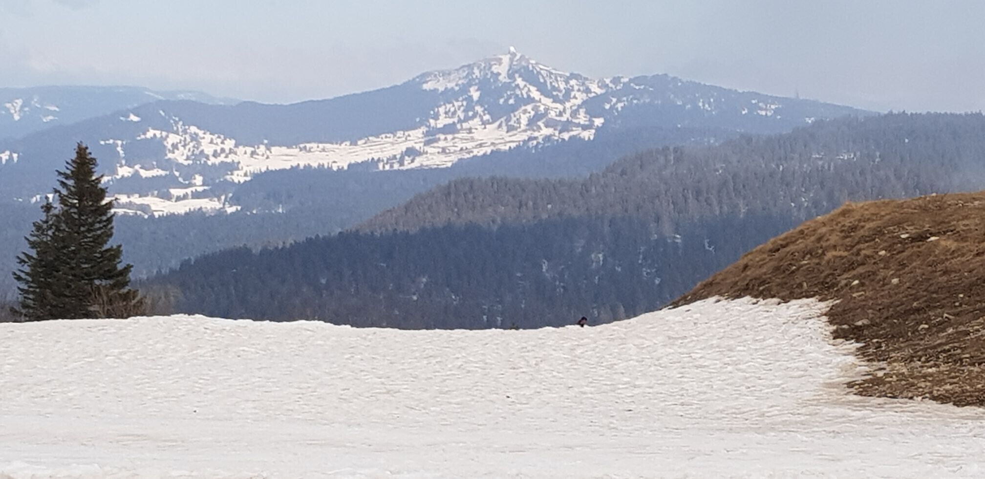 A snow-covered landscape with a mountain in the background.
