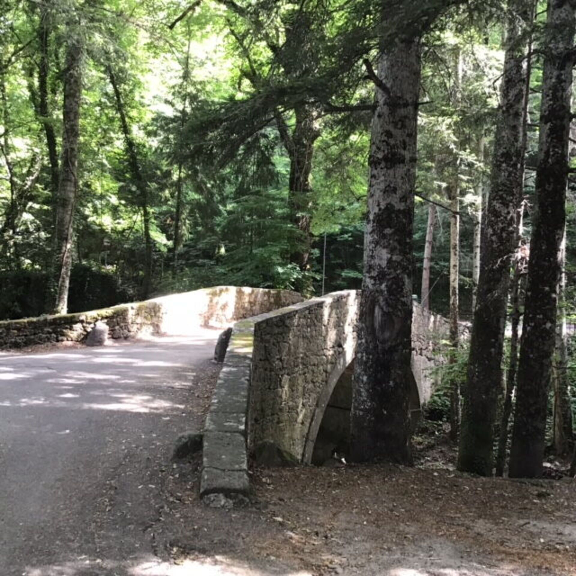 A stone bridge in a forested area with a paved path alongside it.