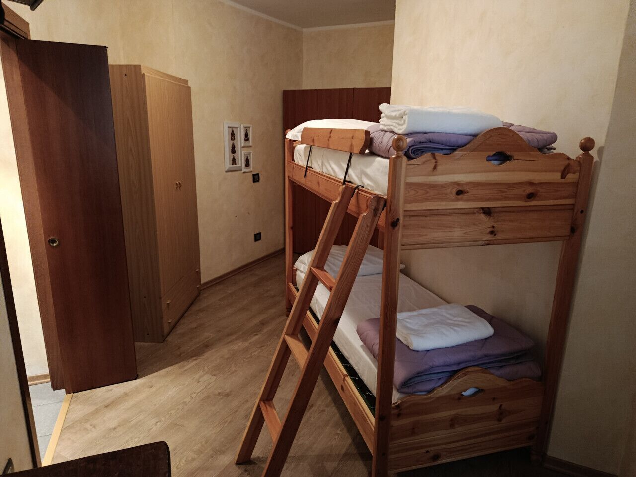 Una cama litera con escalera, un armario de madera y una puerta.