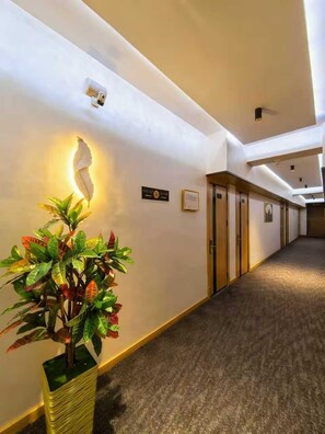 A hotel corridor with a plant, a wall-mounted light, and doors. - BlueShore International hotel (Tashkent)