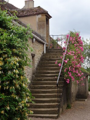 Terrain de l’hébergement 